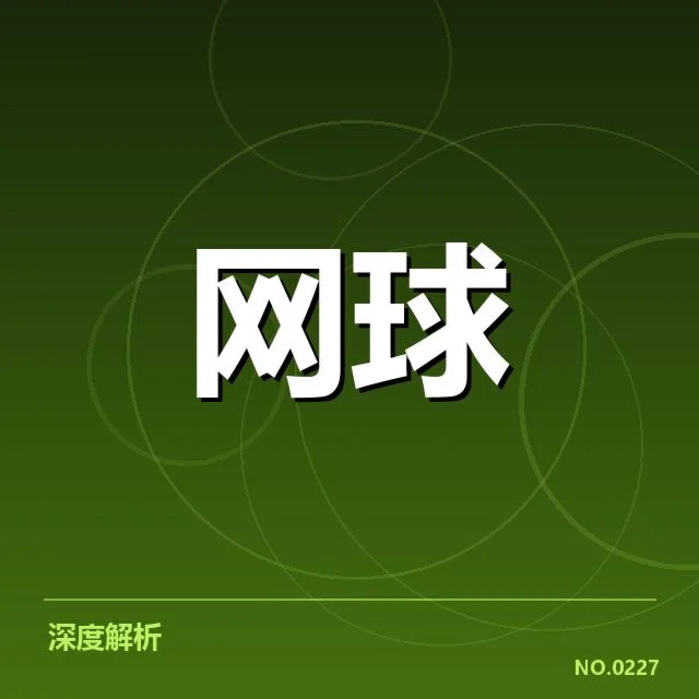 新生代球员崛起路径背后，球队培养体系与年轻球员成长潜力的深层关系
